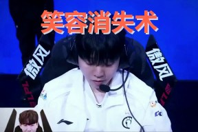 AYX-TheShy回归赛场，战术调整首场状态亮眼，德国队观众沸腾！的简单介绍